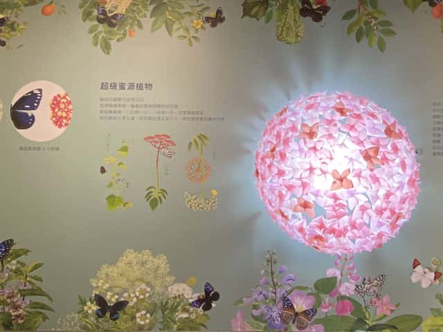 	臺灣植物的偉大航程特展	